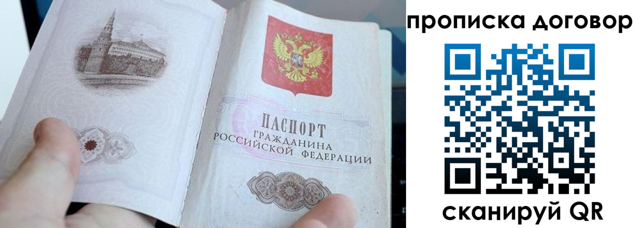прописка в Болотном